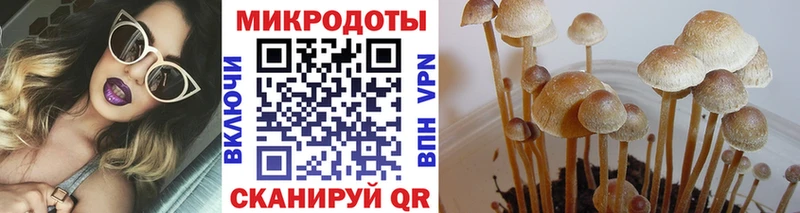 Псилоцибиновые грибы мухоморы  МЕГА как войти  Берёзовка  где купить наркотик 